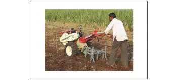 Spring Cultivator